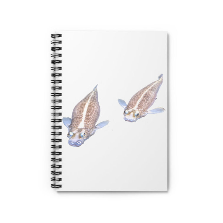 Marick Booster Koi Fish Spiral Notebook Ruled Line Wayfair Canada